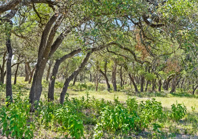 Photo 2 of Sale Pending at Tract 12 Lewdele Ln, Blanco, TX 78671 | MLS# 1705266 | Listing updated on 2026-03-02