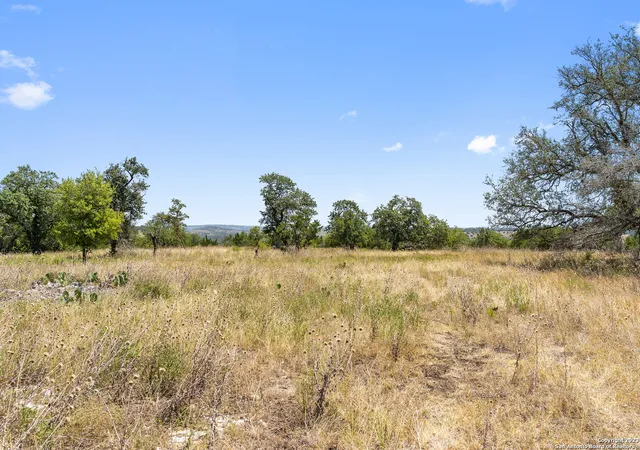 Homes for sale in Blanco, TX | Tract 23 Ranch Road 1623, Blanco, TX 78671 | MLS# 1706010