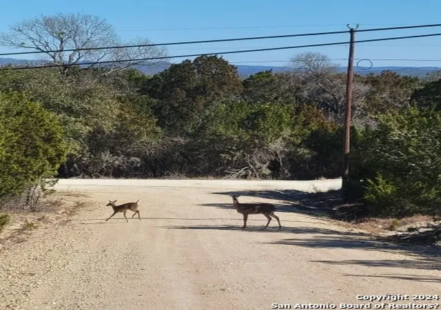 Photo 1 of Sale Pending at Lot 469 Topside Trl, Bandera, TX 78003 | MLS# 1706533 | Listing updated on 2026-05-07