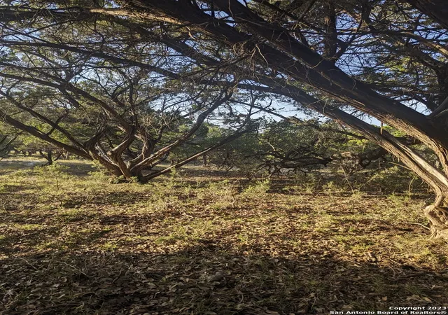 Photo 3 of Sale Pending at Lot 469 Topside Trl, Bandera, TX 78003 | MLS# 1706533 | Listing updated on 2026-05-07