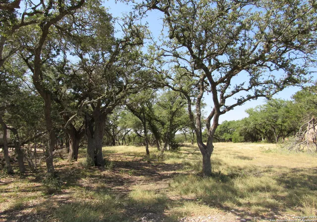 Photo 1 of Land for sale at 34736 Casita Creek Ln, Bulverde, TX 78163 | MLS# 1707685 | Listing updated on 2025-07-31