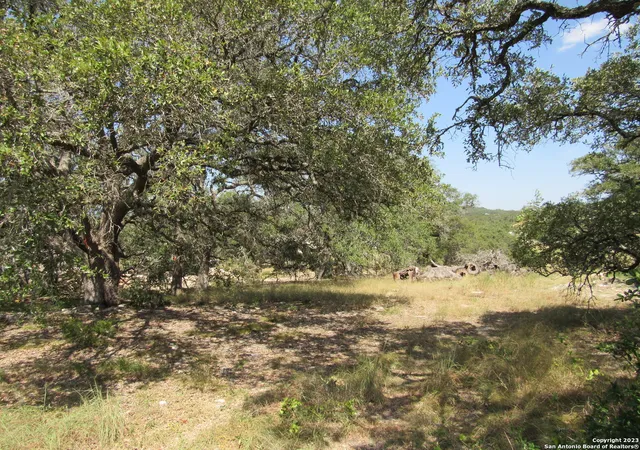 Photo 4 of Land for sale at 34736 Casita Creek Ln, Bulverde, TX 78163 | MLS# 1707685 | Listing updated on 2025-07-31