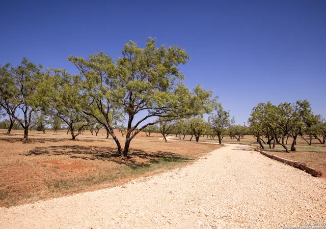 Homes for sale in Sweetwater, TX | 000 County Road 119, Sweetwater, TX 79556 | MLS# 1708335