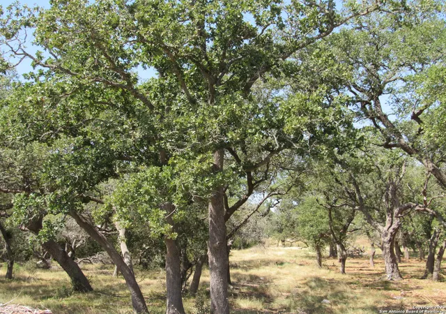 Photo 1 of Land for sale at 746 Maximino Ridge Rd, Bulverde, TX 78163 | MLS# 1709614 | Listing updated on 2025-07-31