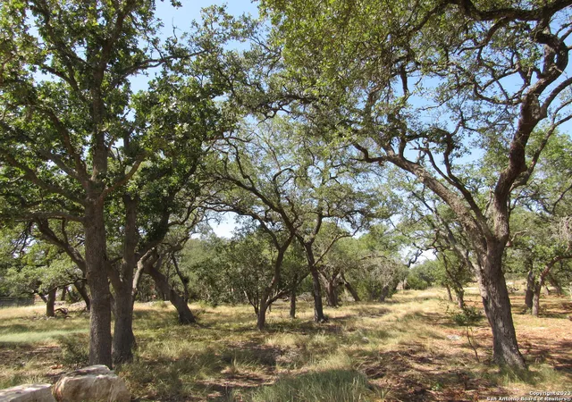 Photo 3 of Land for sale at 746 Maximino Ridge Rd, Bulverde, TX 78163 | MLS# 1709614 | Listing updated on 2025-07-31