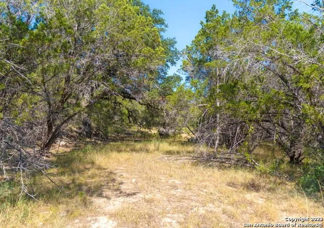 Homes for sale in Vanderpool, TX | 35715 Fm Hwy 187, Vanderpool, TX 78885 | MLS# 1711564