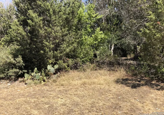 3rd image of 4200 Bell Ln, Selma, TX 78154 | MLS# 1711877