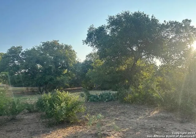 Homes for sale in St. Hedwig, TX | 000 Adkins-St Hedwig Road, St. Hedwig, TX 78152 | MLS# 1715840