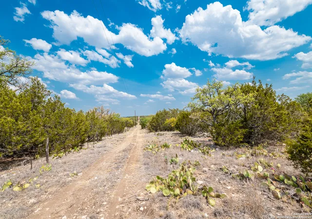 Homes for sale in Junction, TX | 491 Kc 276, Junction, TX 76849 | MLS# 1719543