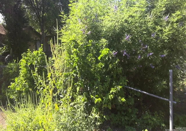 3rd image of 112 Del Valle Alley, San Antonio, TX 78207 | MLS# 1719659
