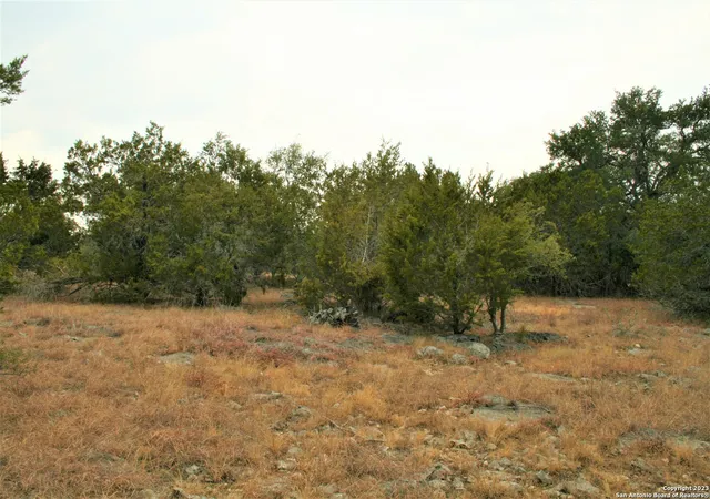 Photo 3 of Land for sale at 1225 Mystic Shores Blvd, Spring Branch, TX 78070 | MLS# 1720439 | Listing updated on 2024-09-29