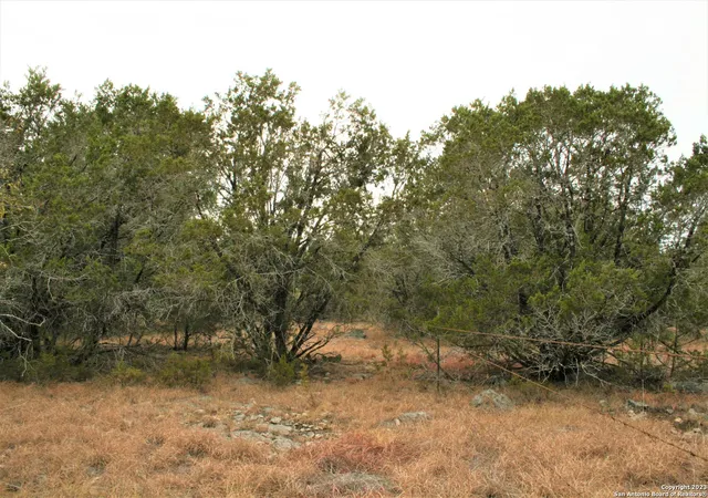 Photo 4 of Land for sale at 1225 Mystic Shores Blvd, Spring Branch, TX 78070 | MLS# 1720439 | Listing updated on 2024-09-29