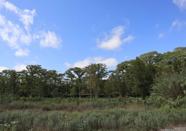 5th image of 14919 Tx-16 N, Medina, TX 78055 | MLS# 1720593