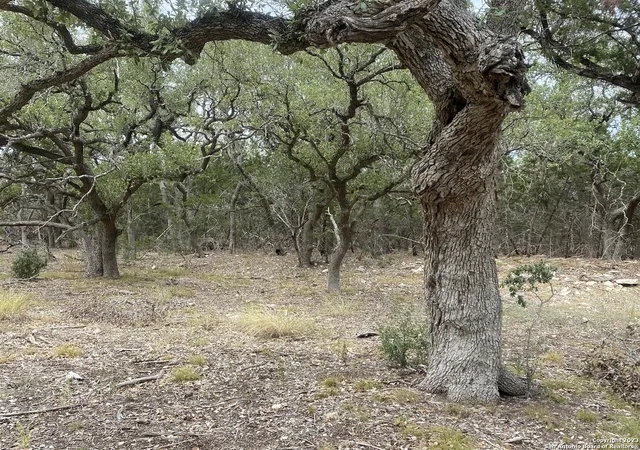 Photo 3 of Land for sale at 644 Annabelle Ave, Bulverde, TX 78163 | MLS# 1724361 | Listing updated on 2025-07-28