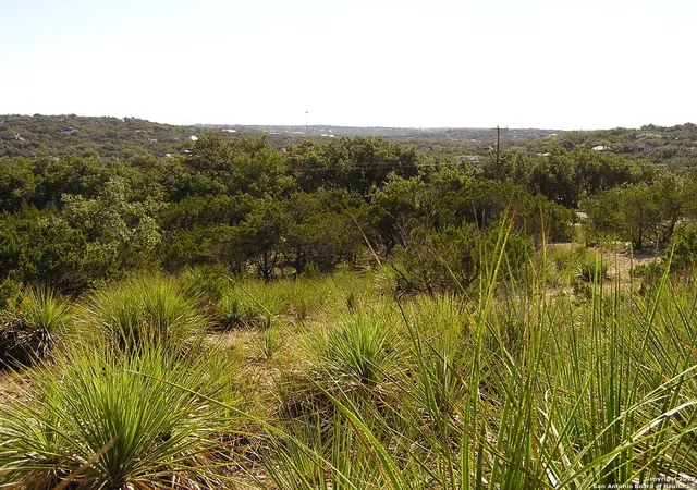 Photo 2 of Sale Pending at 607 Solo St, San Antonio, TX 78260 | MLS# 1726232 | Listing updated on 2025-11-17
