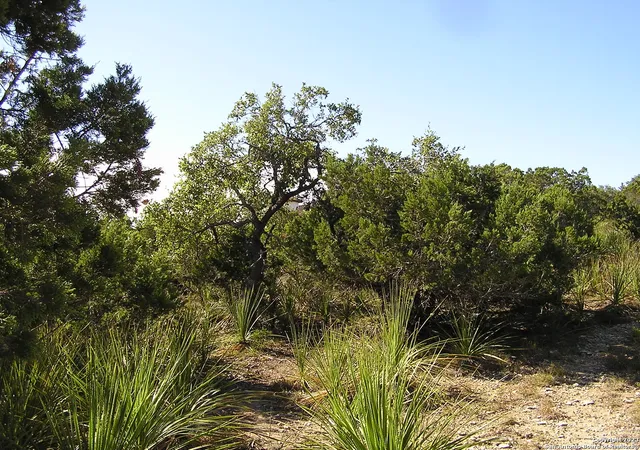 Photo 3 of Sale Pending at 607 Solo St, San Antonio, TX 78260 | MLS# 1726232 | Listing updated on 2025-11-17