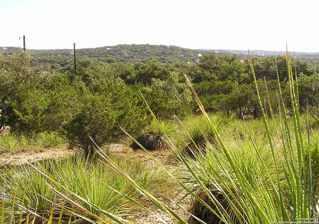 Photo 1 of Sale Pending at 607 Solo St, San Antonio, TX 78260 | MLS# 1726232 | Listing updated on 2025-11-17