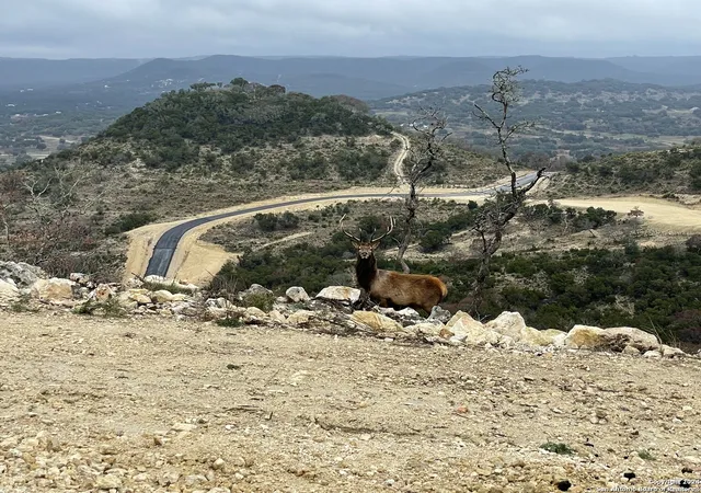 8th image of Lot 78 Oryx St, Pipe Creek, TX 78063 | MLS# 1727961