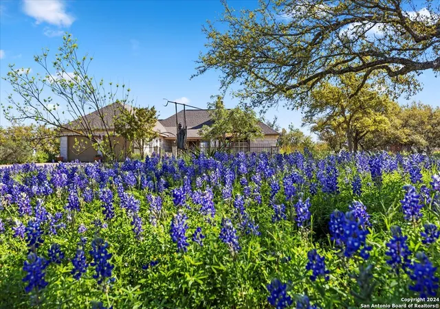 1st image of 300 Logans Way, Blanco, TX 78606 | MLS# 1728978