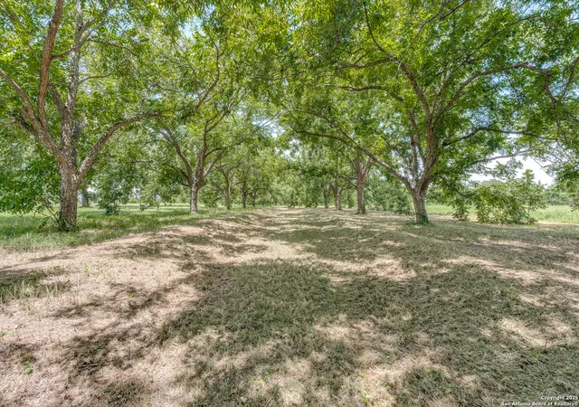 4th image of 263 Krams Creek Road, Seguin, TX 78155 | MLS# 1729494