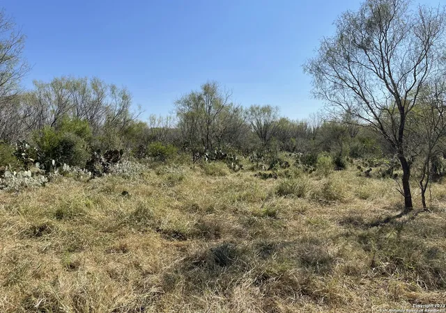 26th image of 436 Pr 7503, Moore, TX 78057 | MLS# 1729566
