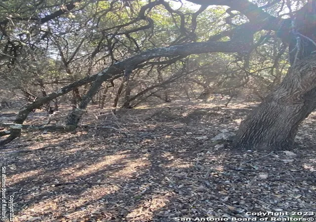 Photo 3 of Land for sale at Tbd Tbd, Canyon Lake, TX 78133 | MLS# 1731349 | Listing updated on 2026-02-11