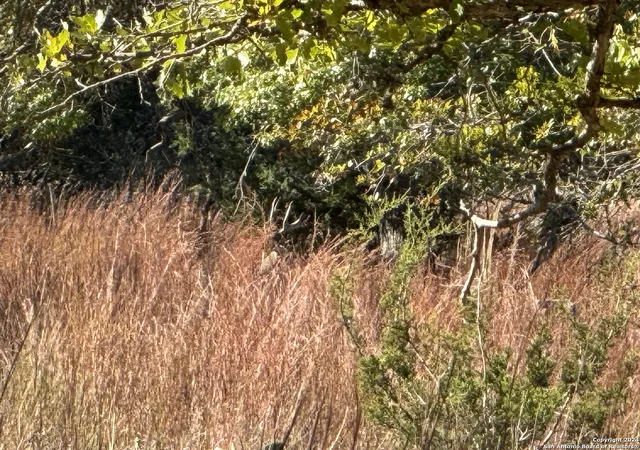 3rd image of Lot 3 North Grape Creek Rd, Fredericksburg, TX 78624 | MLS# 1735802