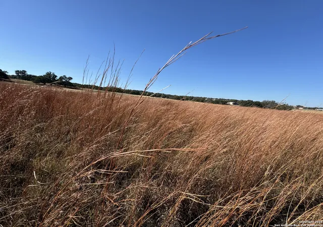 50th image of Lot 3 North Grape Creek Rd, Fredericksburg, TX 78624 | MLS# 1735802