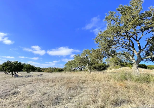 4th image of 150 Riddle Rd, Spring Branch, TX 78070 | MLS# 1738694