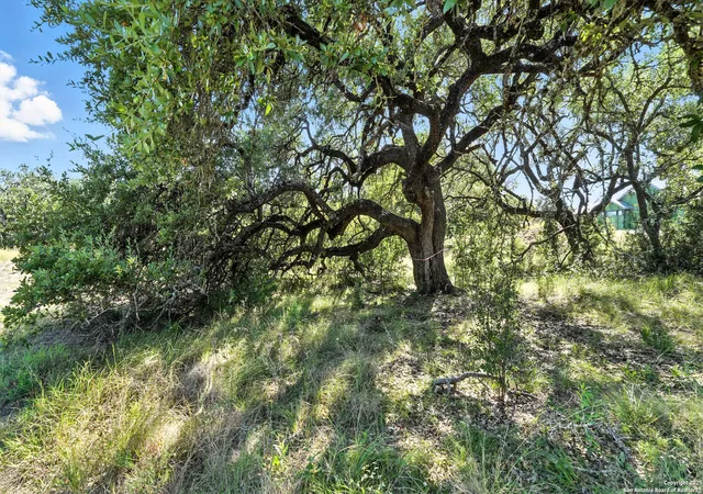 Photo 4 of Land for sale at 873 Annabelle Avenue (Lot 22), Bulverde, TX 78163 | MLS# 1745979 | Listing updated on 2025-07-31