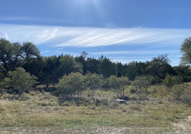 3rd image of 115 N John Bird, Blanco, TX 78606 | MLS# 1747179