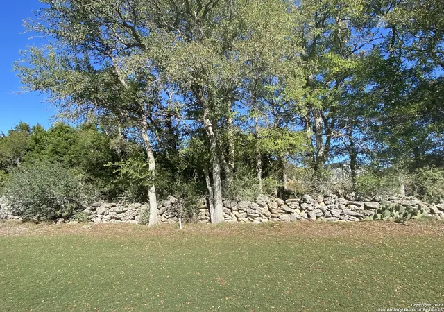 4th image of 115 N John Bird, Blanco, TX 78606 | MLS# 1747179
