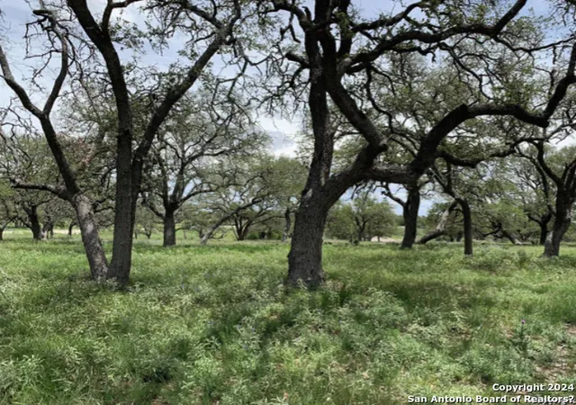 image of 45 Table Rock, Kerrville, TX 78028 | MLS# 1748058