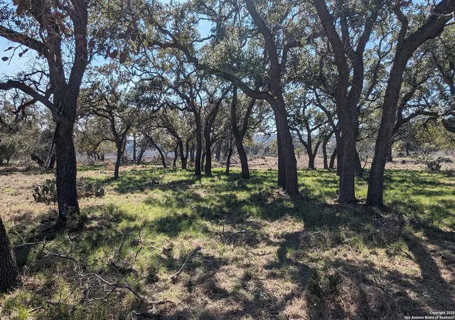 Photo 2 of Land for sale at 1124 Aguayo Dr, Canyon Lake, TX 78133 | MLS# 1753754 | Listing updated on 2026-02-19