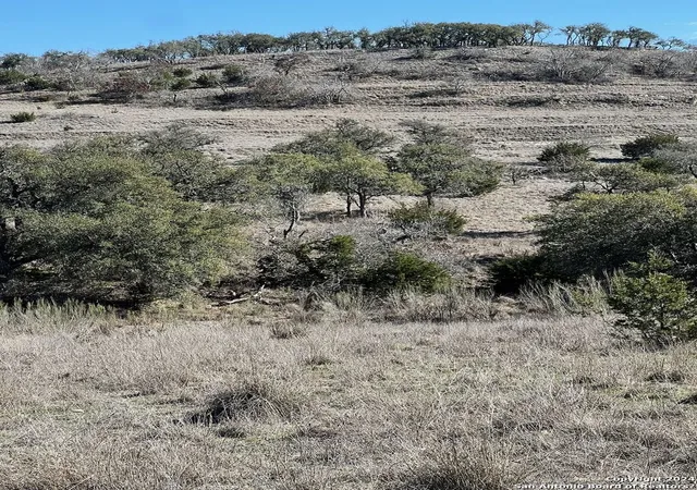3rd image of 2985 Maenius Rd, Blanco, TX 78606 | MLS# 1754237
