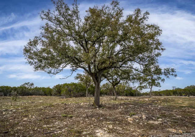 3rd image of 40 Sotol Ln, Boerne, TX 78006 | MLS# 1755210