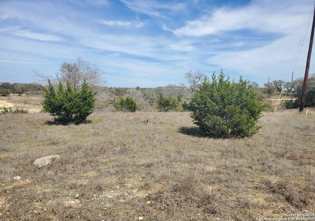 4th image of 136 W Eli Chandler, Blanco, TX 78606 | MLS# 1755475