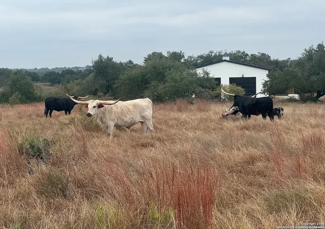 Photo 3 of Land for sale at 635 Whiskey Trail, Blanco, TX 78130 | MLS# 1755678 | Listing updated on 2026-09-16
