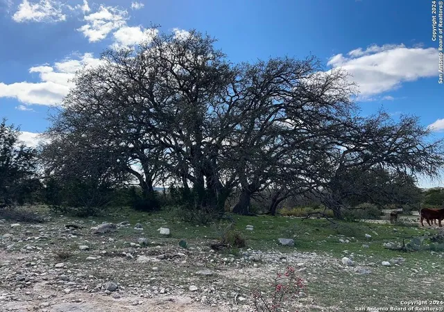 Photo 3 of Land for sale at 000 Kc140, Junction, TX 76849 | MLS# 1757154 | Listing updated on 2025-05-29