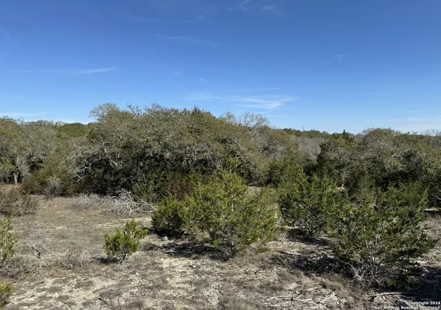 12th image of 129 Stallion Estates, Spring Branch, TX 78070 | MLS# 1757346