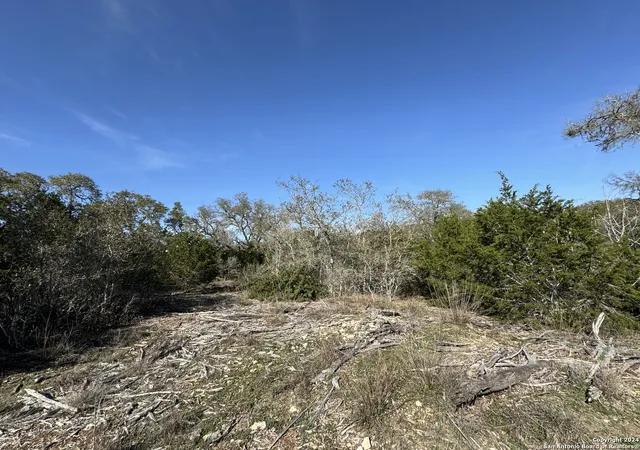 2nd image of 129 Stallion Estates, Spring Branch, TX 78070 | MLS# 1757346