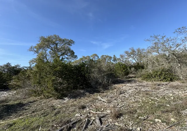 3rd image of 129 Stallion Estates, Spring Branch, TX 78070 | MLS# 1757346