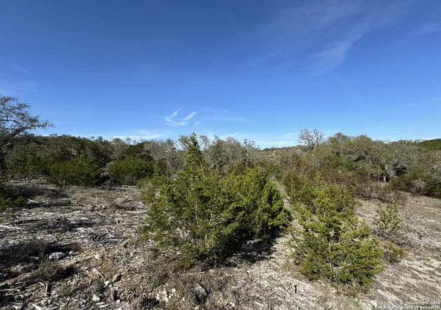 5th image of 129 Stallion Estates, Spring Branch, TX 78070 | MLS# 1757346