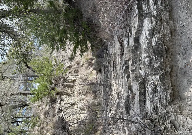 Photo 3 of Land for sale at 116 Poehnert Road, Boerne, TX 78006 | MLS# 1758377 | Listing updated on 2025-02-09