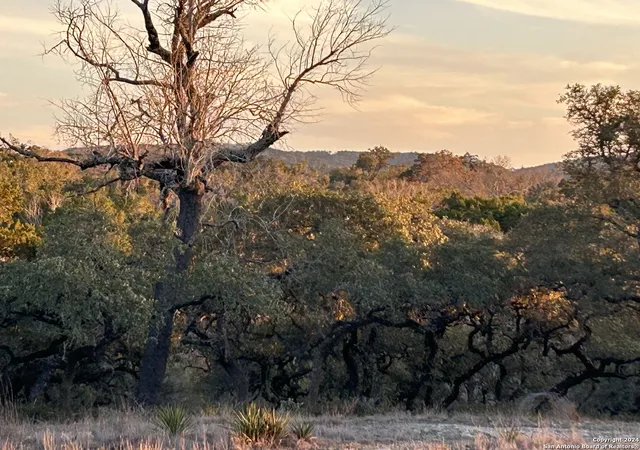 2nd image of 116 Poehnert Road, Boerne, TX 78006 | MLS# 1758377