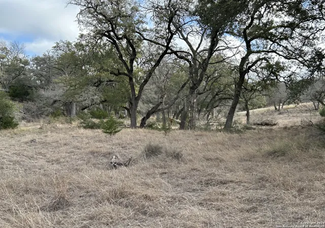 Photo 3 of Land for sale at 116 Poehnert Road, Boerne, TX 78006 | MLS# 1758377 | Listing updated on 2025-02-09