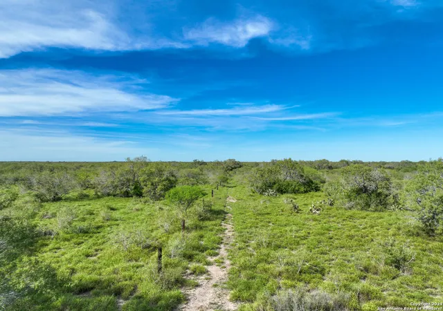 Photo 4 of Sale Pending at 000 Fm 2295, Benavides, TX 78341 | MLS# 1763881 | Listing updated on 2025-07-25
