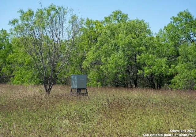 5th image of Tract 9 Fm 1332, Jourdanton, TX 78026 | MLS# 1764757