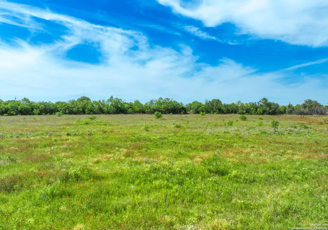 1st image of 002 E Fm 462, Moore, TX 78057 | MLS# 1766328