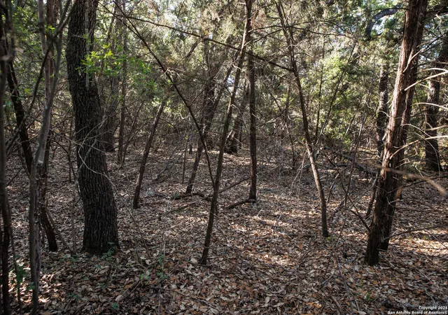 2nd image of 1058 Indian Holw, Spring Branch, TX 78070 | MLS# 1766943